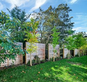A serene backyard with wooden fences, young trees, and lush green grass under a bright blue sky with wispy clouds.