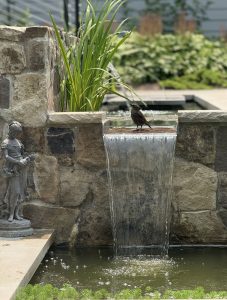 A bird perched on a stone wall beside a tranquil water feature, surrounded by greenery.